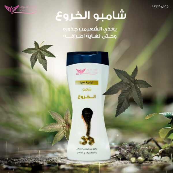 ⁦شامبو الخروع من كويت شوب⁩ - الصورة ⁦5⁩