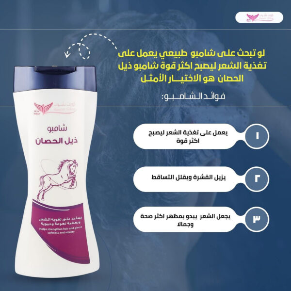 ⁦شامبو ذيل الحصان من كويت شوب⁩ - الصورة ⁦7⁩